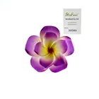Two-double EVA foam Hawaii flowers HAWALL wedding party beach ornament for girls hair clips wholesale #56049