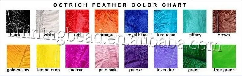 color chart.jpg