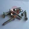 Hot sale in the North and South American market metal screw in spikes