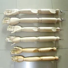 Child/Male/Female wooden arm with hand