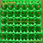 professional factory make egg packing tray mould
