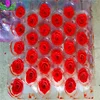 Red Color A GRADE Soft Touch Natural Stabilized Flowers Preserved Roses For Sale