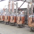 Copper Tank DYE Copper Bright Beer Storage Tank