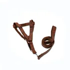 2.5cm Width Retractable Embossing Pet Dog Leash and Harness