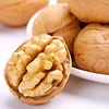 2017 corp A grade jumbo LH walnuts kernels