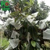 Malaysia Protection Net Bag/Garden Plant Fruit Protect Bag Against Insect Pest Bird