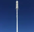 30m Galvanized Steel Single Mast Communication Antenna Poles Cell Phone Radios Monopole Tower