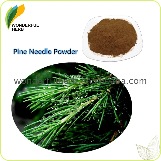 professional manufacturer pine needles leaves extract powder