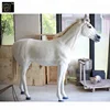 New Design Big Animal Fiberglass Life Size White Horse Resin Statue