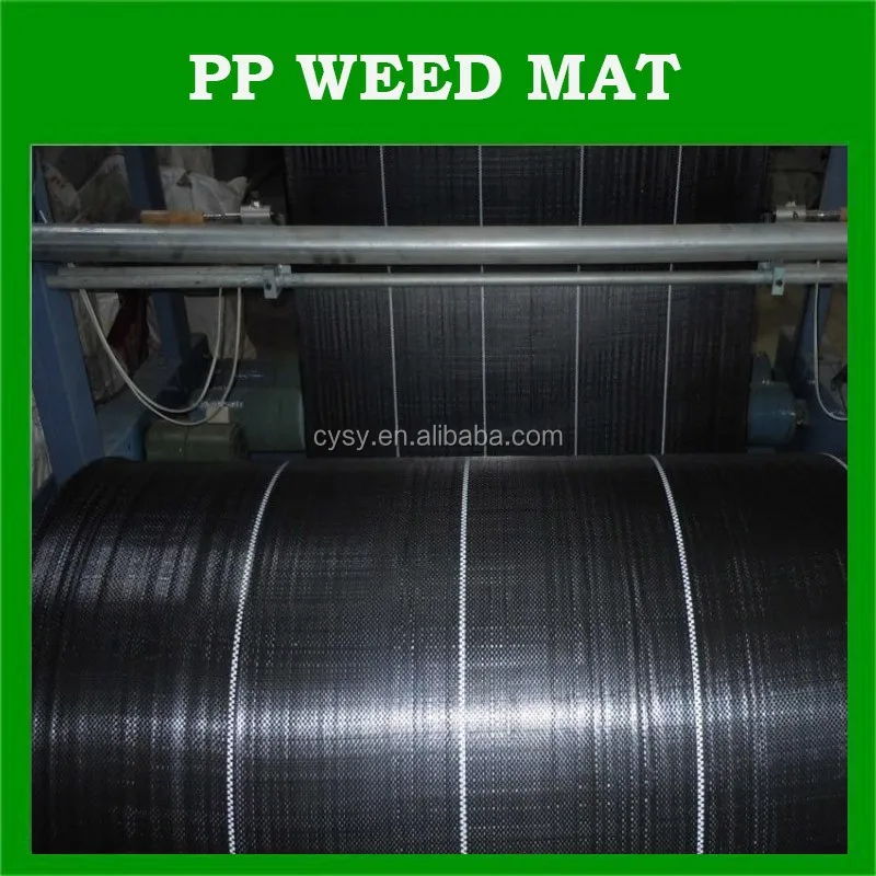 Plastic woven fabric pp ground cover mesh for weed blocker