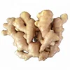/product-detail/chinese-organic-fresh-ginger-price-60798720566.html