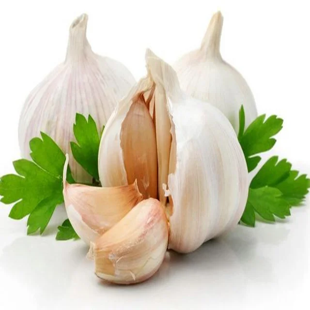 garlic.jpg