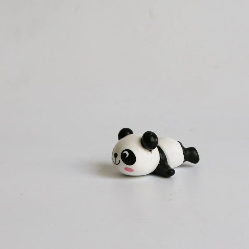 5244363143_950821030_