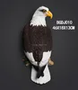 /product-detail/animal-wall-decor-realistic-eagle-statue-for-home-60541848913.html