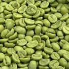 Green Coffee Bean Extract Green Coffee Extract Food Additives Nature 100% Green Coffee Bean Extract
