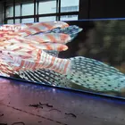 Best resolution led module 3in1 flexible led display screen video epistar led module outdoor p4