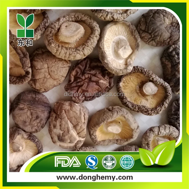 shiitake mushroom dry