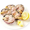 Colorful washington clam with vegetables half shell good quality