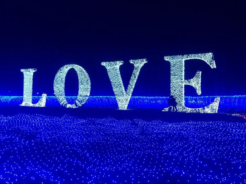 led fairy wedding party home holiday string light (1)