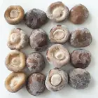 BRC Certified IQF Frozen Shiitake mushroom whole