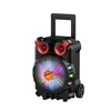 Private mould speaker portable 8 inch trolley speaker with disco light