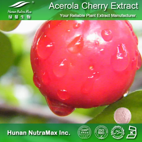 100% pure natural acerola cherry fruit extract powder