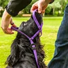 Nylon Slip Leader Dog Head Collar Halter No Pull Muzzles Harness For Training Walking