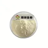 Manufacturer Supply Natural Lime Juice Powder with Limonin in Best Price