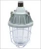 Flame -proof type Explosion Proof Light