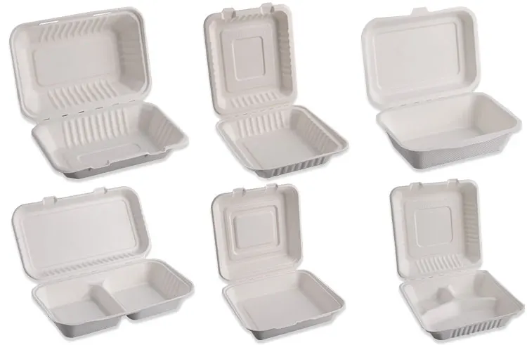 biodegradable lunch boxes