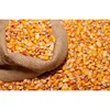 Wholesale bulk nutrient-rich organic corn price