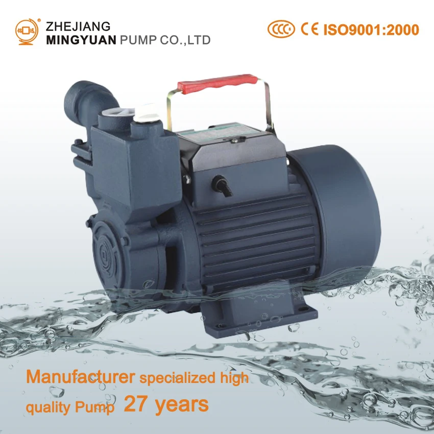 0.5 HP Self-priming Pump Price For Domestic Use Surface Water Pump Manufacturers