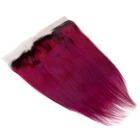 Colored Extension Brazilian Human Hair Dyed For Any Type Hair