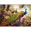 Oil Painting Set Two Peacocks Flower Hand Painting Oil Canvas Wall Pictures For Living Room Home Decoration