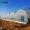 /product-detail/fm-complete-plastic-film-greenhouse-structure-for-agricultural-60825290913.html