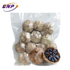 New Crop High Quality Anti-aging Chinese Black Garlic