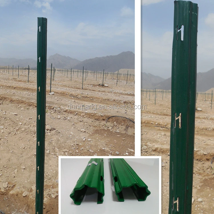 grape vine poles