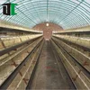 High light transmittance low cost widely used commercial 8 mm glass float vegetable glass greenhouse with anti insect net for sa