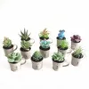 /product-detail/cyshmily-mini-iron-pot-modern-home-creative-ornaments-artificial-pvc-simulation-succulent-plants-62044267742.html