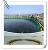 /product-detail/hdpe-sea-cage-or-floating-fish-farming-cage-for-sea-floating-aquaculture-60674801919.html