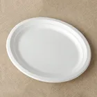 paper tableware sets 100% biodegradable 9 inch paper plate bagasse