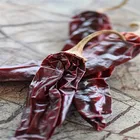 Natural dried red chili Dry red chillies with stem
