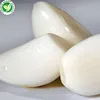Hot selling cheap price hight quality frozen peeled garlic