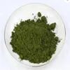 Factory Supply Green Powder Methyl Violet 548-62-9 for paper pulp dyeing