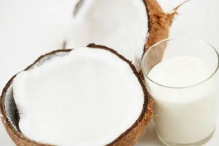 Coconut Oil Factory Manufacturers