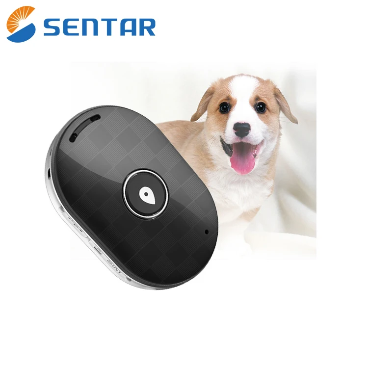 gps tracker for dogs