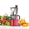 /product-detail/150w-cold-press-slow-juicer-60821224345.html