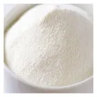 Pets Probiotics Supplements Oral and Dental Health Care probiotics for Animal Feed Probiotics