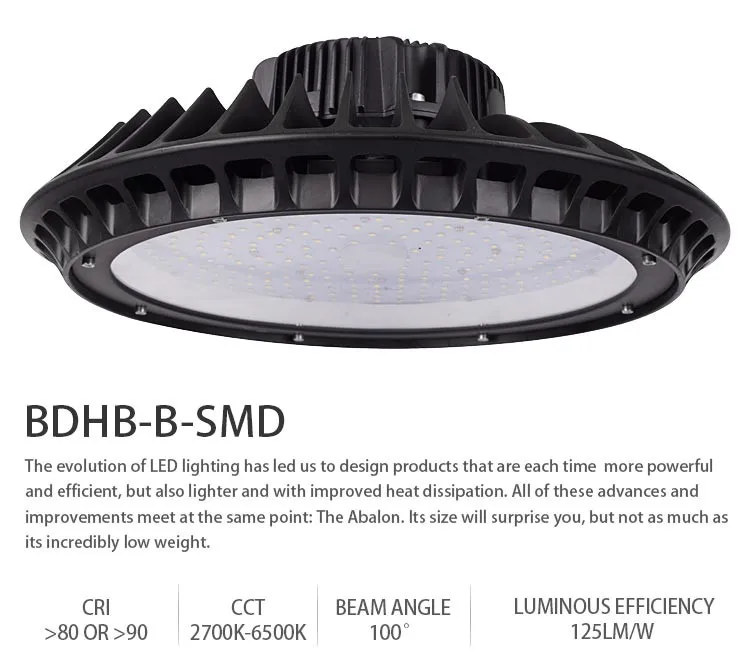 BDHB-B_02.jpg