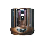 New Design Multi-Functional Steam Shower Room With TV